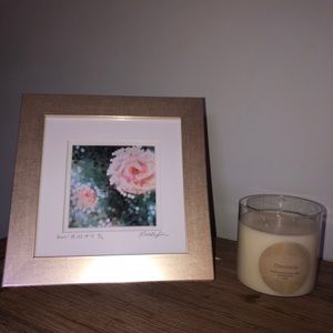 Meet your Posher, Monica